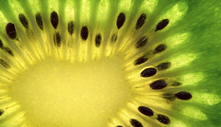 Kiwi ma działanie alkalizujące, odkwasza organizm biegacza
