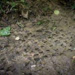 Beskidy Ultra Trail 2013 – ultra na orientację