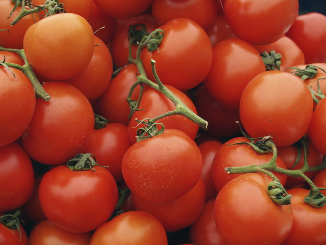 Pomidory. Fot. istockphoto.com