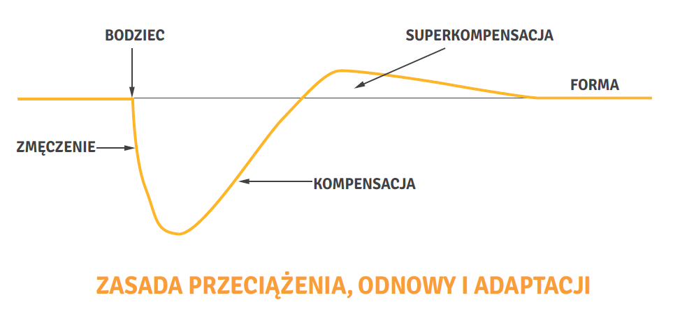 Wykres do kompresji