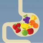 Kobiety nie są małymi mężczyznami – Osmo Nutrition