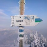 Biegi przełajowe – czym są, czym były i dokąd zmierza ta dyscyplina?