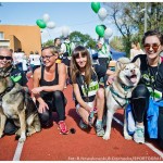 Chojnik Festiwal – od półmaratonu do ultra w Karkonoszach – 22-23 maja