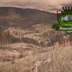 Elita ścigała się w Chinach: mityng Diamentowej Ligi w Szanghaju