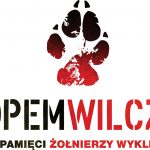 Minimalizm w bieganiu: korzystny czy nie?