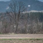 Yuki Kawauchi nie przestaje zadziwiać biegowego świata i wygrywa maraton w Hofu