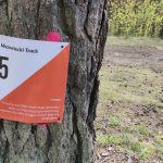 3. KRWIOBIEG Warszawa – tym razem wirtualnie, ale wciąż w słusznej sprawie!