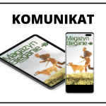 Test butów do biegania dla osób, które szukają dużej amortyzacji