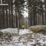 Bieganie zimą – 3 popularne błędy początkujących
