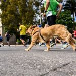 Amazfit dedykuje Fundacji Kelvina Kiptuma limitowaną edycję swojego flagowego zegarka