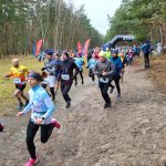 Orzechy – doskonała przekąska dla biegacza. Które najlepsze?