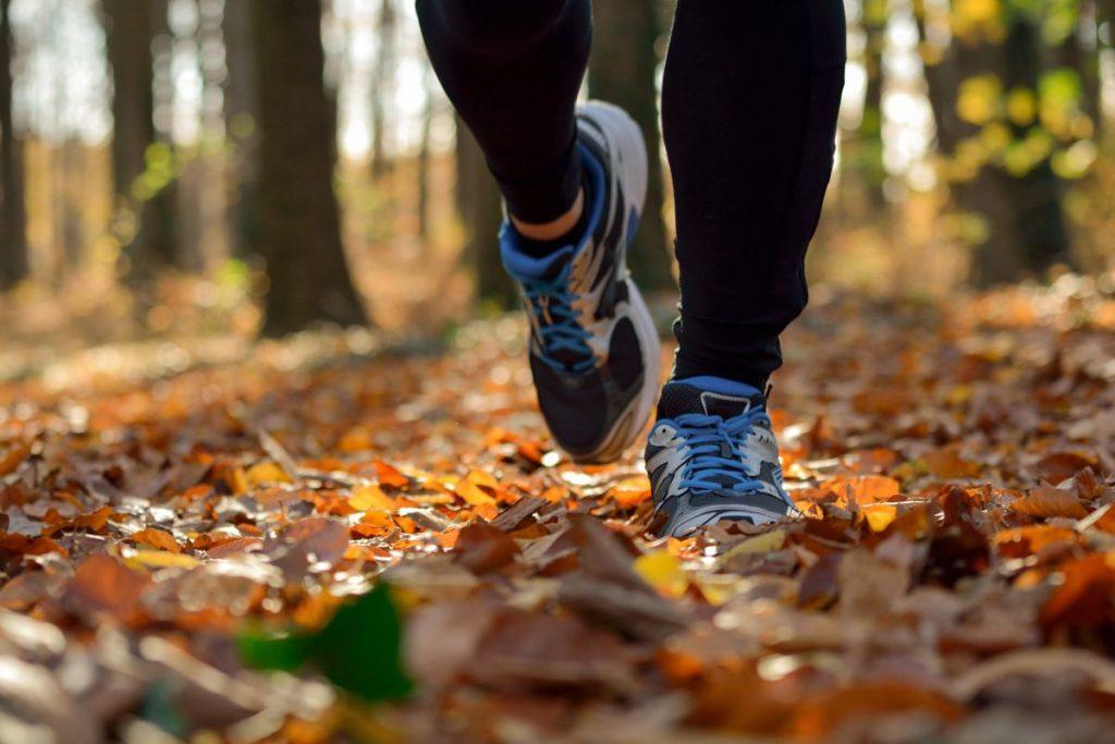 bieganie jesienią