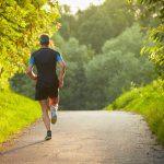RAW PALEO WARSAW DOG RUN – bieg z psem w formule canicrossu i dogtrekkingu!