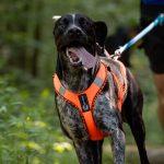 ASICS prezentuje nowe modele FUJI LITE 6 i FUJISPEED 4 – z myślą o biegach trailowych w komforcie i z maksymalną prędkością
