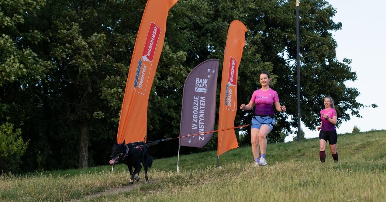 RAW PALEO WARSAW DOG RUN canicross dogtrekking