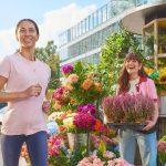 Plan treningowy:  5 kilometrów w 20 i 25 minut w 6 tygodni