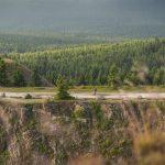 Bieg Policz się z Cukrzycą – wciąż można się zapisać i pobiec razem z WOŚP!