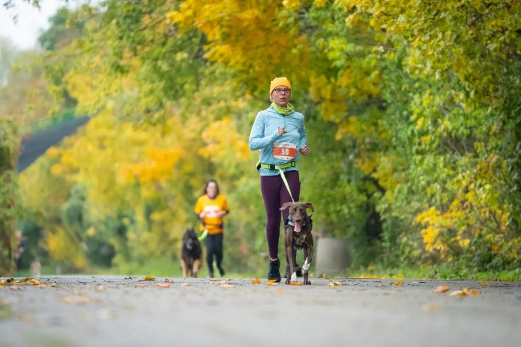 2. RAW PALEO Warsaw Dog Run 2026