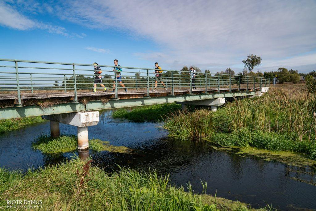 Bison Ultra-Trail