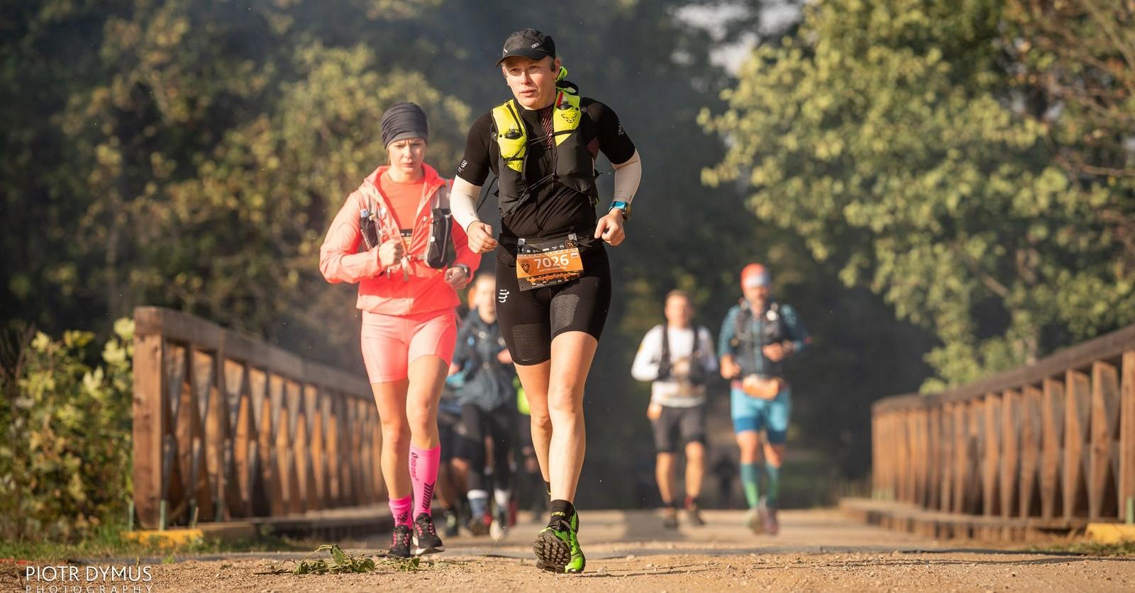Bison Ultra-Trail