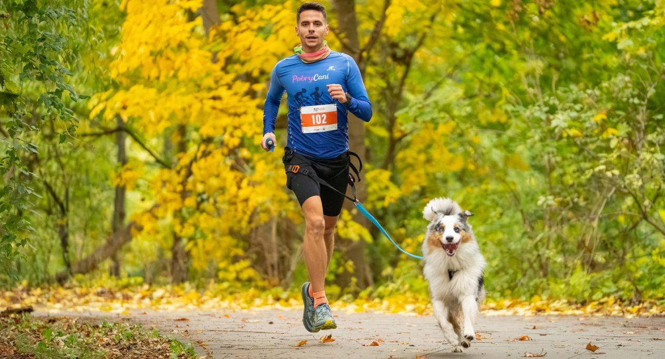 RAW PALEO Warsaw Dog Run