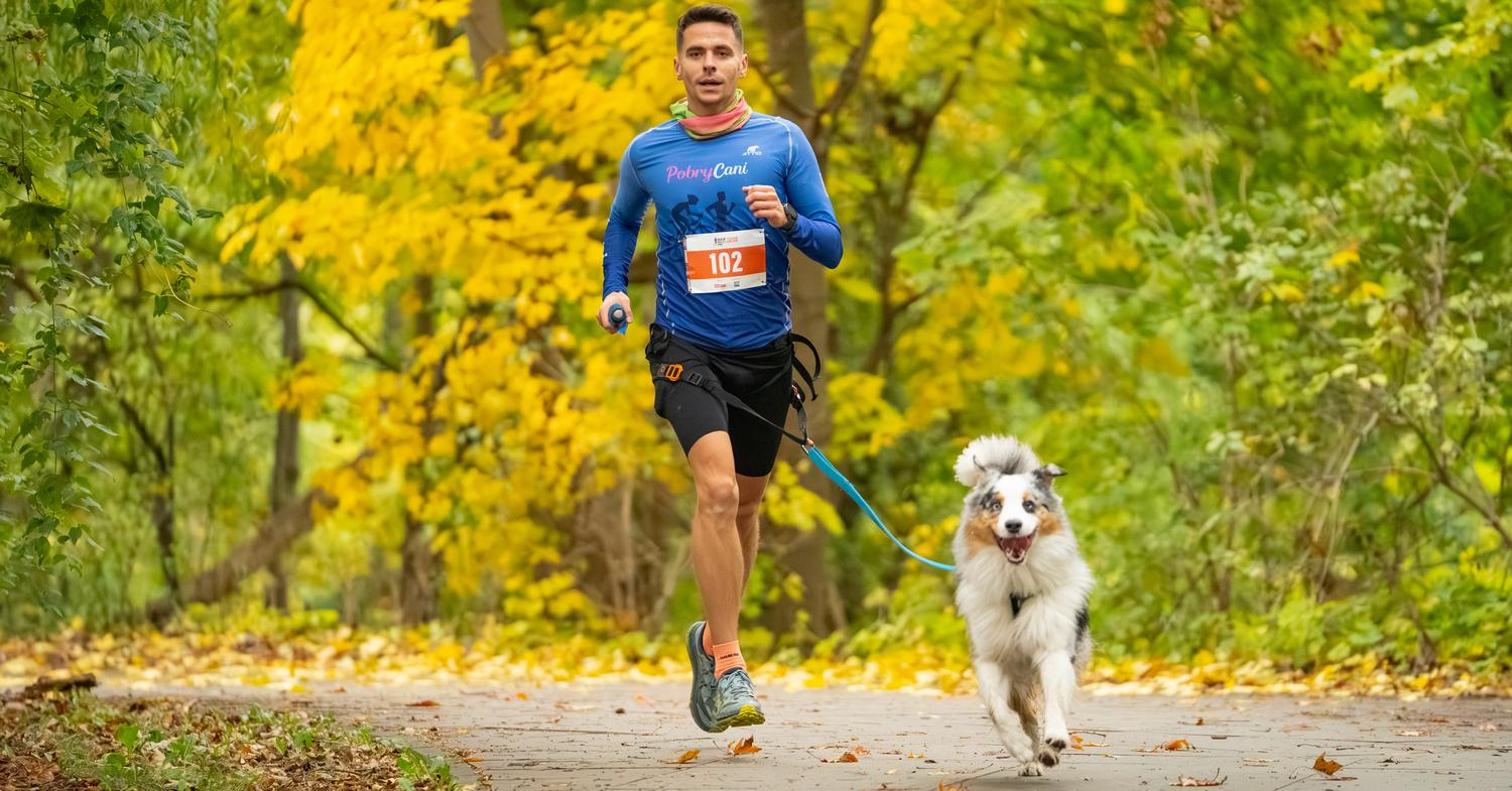 RAW PALEO Warsaw Dog Run
